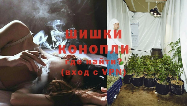 трава Алзамай