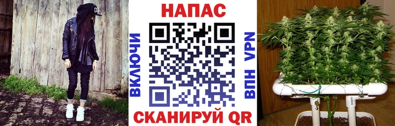 Бошки марихуана ГИДРОПОН  Купить  Нижневартовск 